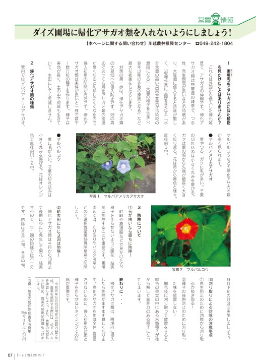 Jaいるま野 広報7月号 最終