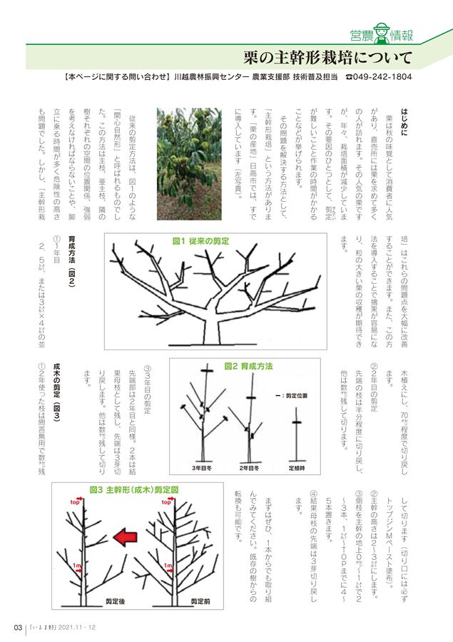 Jaいるま野 広報誌 21 11 12 No 306