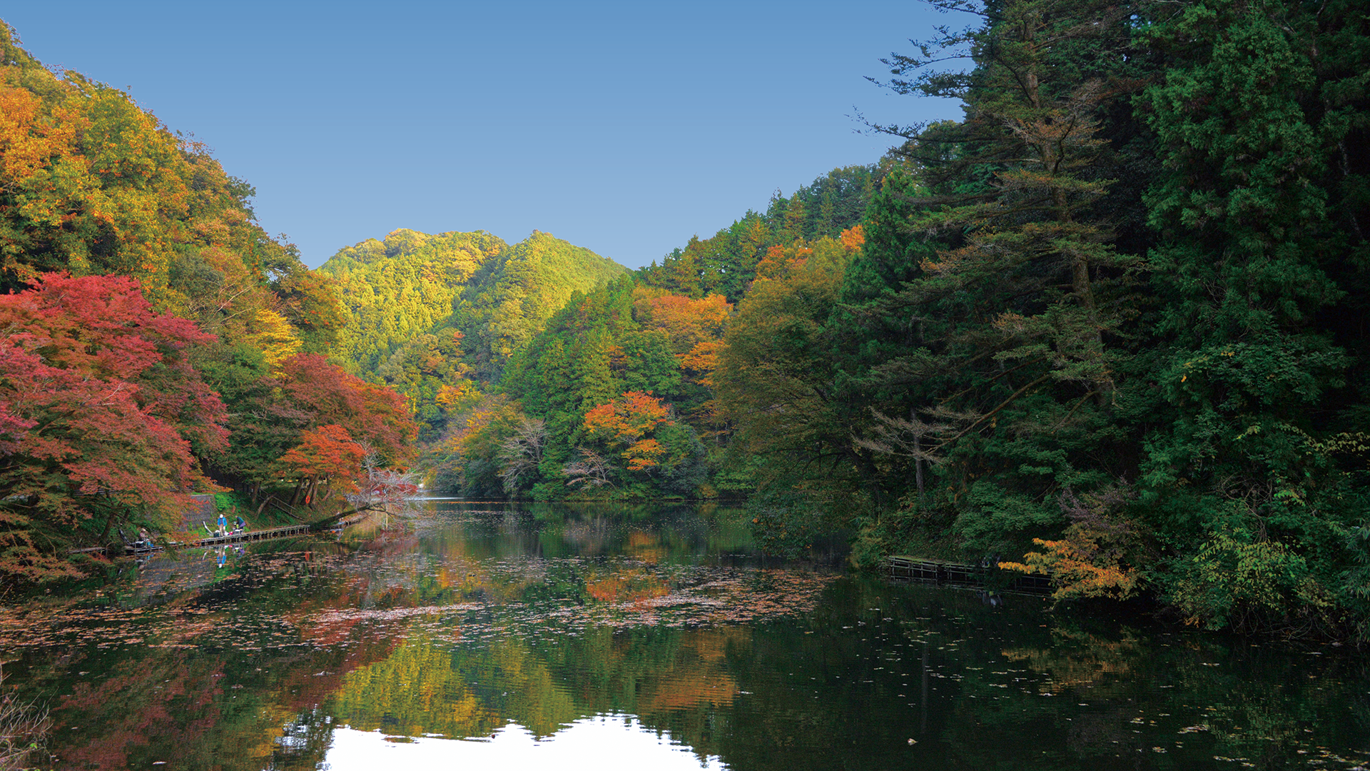 JAいるま野